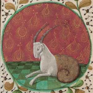 capricornio aastrologia